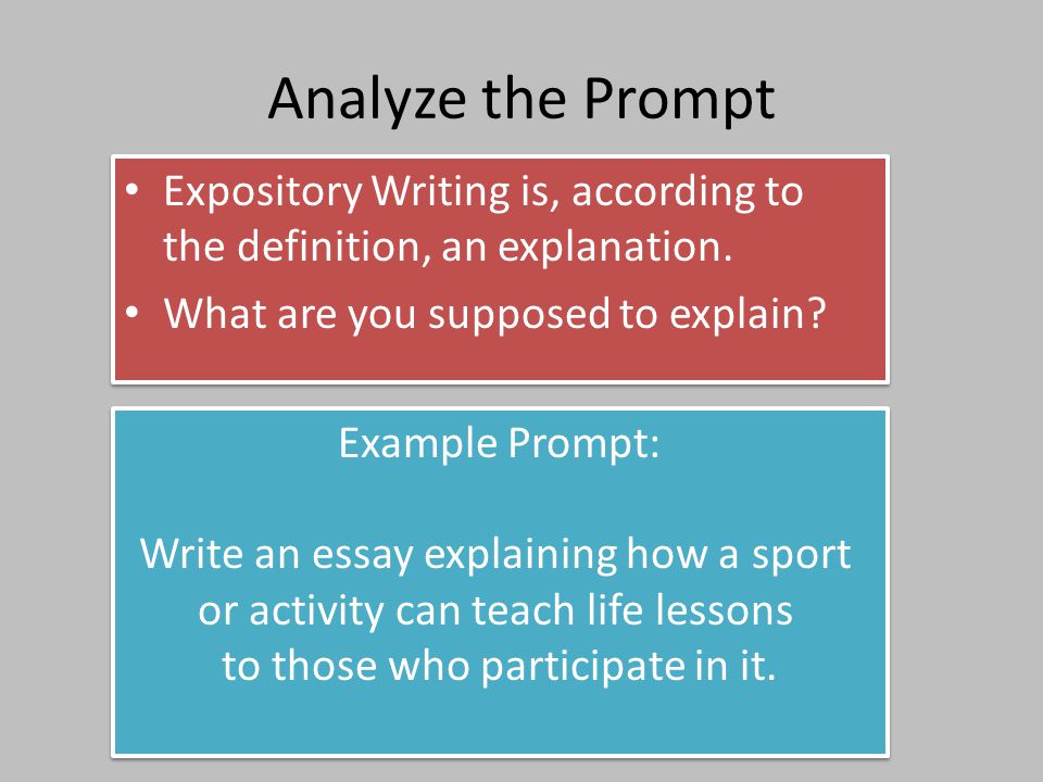 Sport life lessons essay